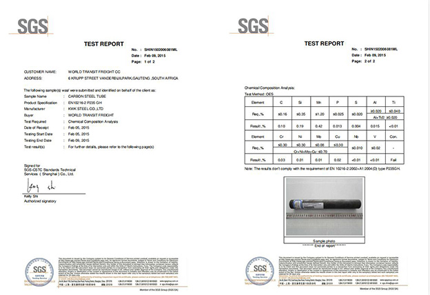 SGS Test Report