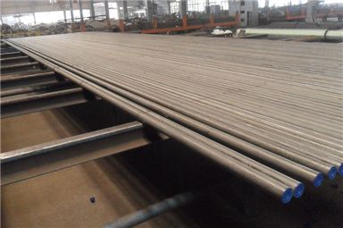 EN10216-2 Seamless Steel Pipe P235GH Boiler Tube